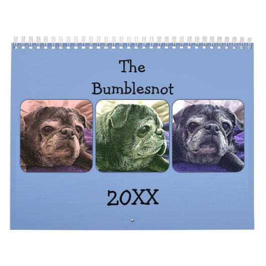 Calendrier 2015 de Bumblesnot (Protection)