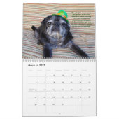Calendrier 2015 de Bumblesnot (Mar 2027)