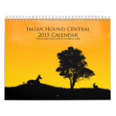 Calendrier 2015 de central de chien d'Ibizan (Protection)