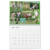 Calendrier 2015 de central de chien d'Ibizan (Mar 2027)