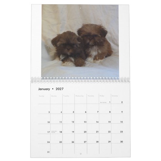 Calendrier 2015 de chiot de Shih Tzu (Jan 2027)