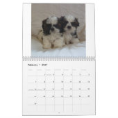 Calendrier 2015 de chiot de Shih Tzu (Feb 2027)