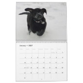 Calendrier 2015 de chiots de Mastador (Jan 2027)
