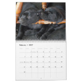Calendrier 2015 de chiots de Mastador (Feb 2027)