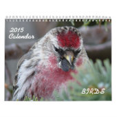Calendrier 2015 de petits oiseaux (Protection)