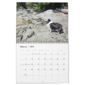 Calendrier 2015 de Sheltie (Feb 2027)