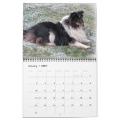 Calendrier 2015 de Sheltie (Jan 2027)