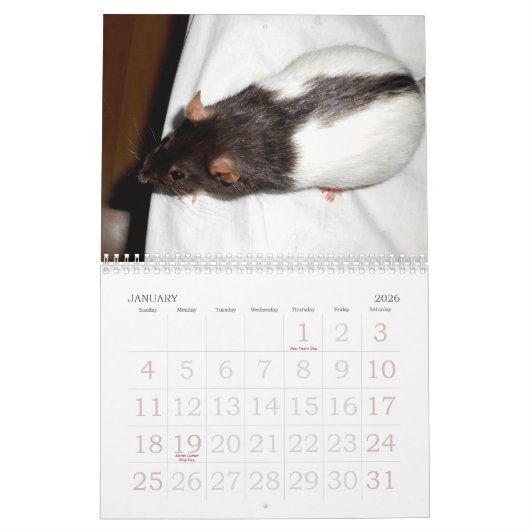 Calendrier 2015 du Rat Lover (Jan 2026)