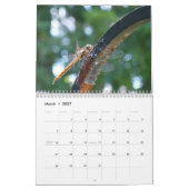 Calendrier 2015 la vie autour de nous (Mar 2027)