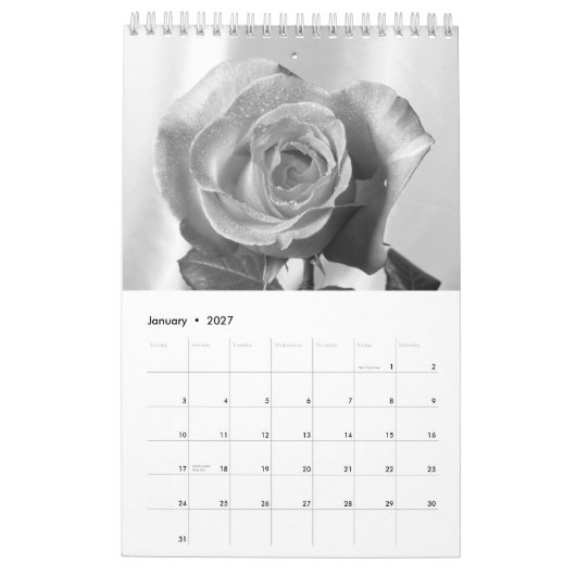 Calendrier 2015 rose - arrière à temps (Jan 2027)
