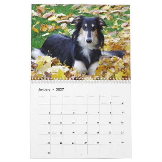 Calendrier 2015 Windhounds de soie (Jan 2027)