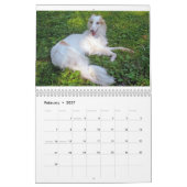Calendrier 2015 Windhounds de soie (Feb 2027)