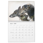 Calendrier 2015 Windhounds de soie (Mar 2027)