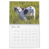Calendrier 2015 Windhounds de soie (Feb 2026)
