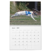 Calendrier 2015 Windhounds de soie dans l'action (Mar 2027)