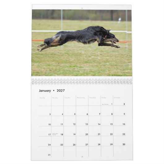 Calendrier 2015 Windhounds de soie dans l'action (Jan 2027)