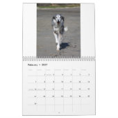 Calendrier 2015 Windhounds de soie dans l'action (Feb 2027)