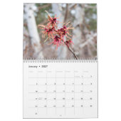 Calendrier 2016 (Jan 2027)