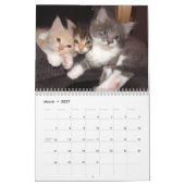 Calendrier 2016 Avec Vacances - Chats (Mar 2027)