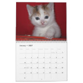 Calendrier 2016 Avec Vacances - Chats (Jan 2027)