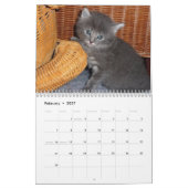 Calendrier 2016 Avec Vacances - Chats (Feb 2027)