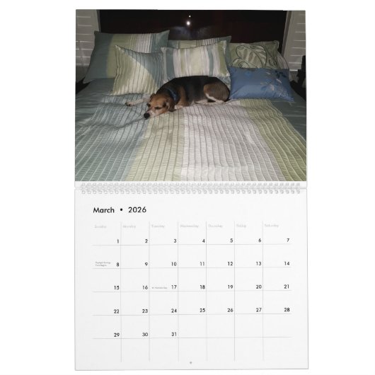 Calendrier 2016 de beagle (Mar 2026)