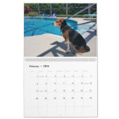Calendrier 2016 de beagle (Feb 2026)