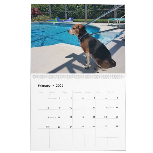 Calendrier 2016 de beagle (Feb 2026)