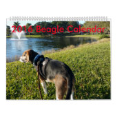 Calendrier 2016 de beagle (Protection)