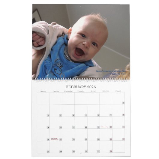 Calendrier 2016 de bébé d'Aro (Feb 2026)