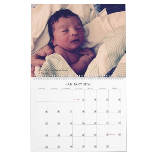 Calendrier 2016 de bébé d'Aro (Jan 2026)