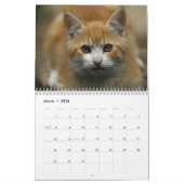 Calendrier 2016 de chat (Mar 2026)