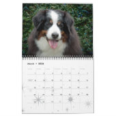 Calendrier 2016 de chien de montagne de Bernese (Mar 2026)