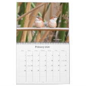 Calendrier 2016 de colibri (Feb 2026)
