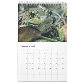 Calendrier 2016 de grenouilles vertes (Feb 2026)