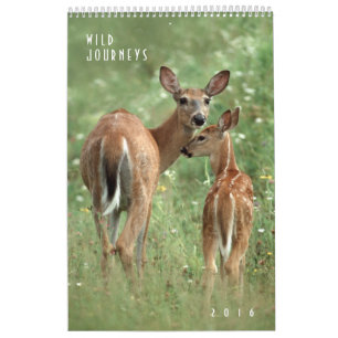 Calendrier 2016 de la muraille faunique - Photogra
