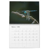 Calendrier 2016 de libellule par Steve Borichevsky (Feb 2026)
