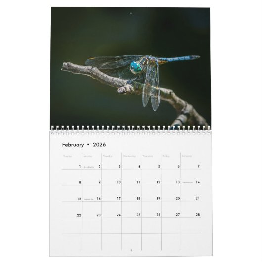 Calendrier 2016 de libellule par Steve Borichevsky (Feb 2026)