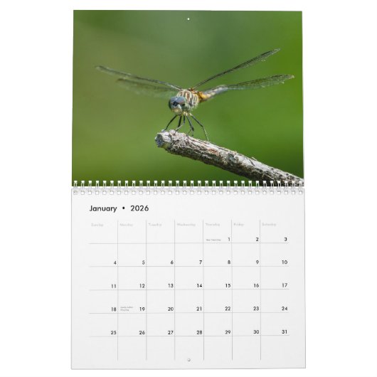Calendrier 2016 de libellule par Steve Borichevsky (Jan 2026)