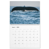 Calendrier 2016 de nature de photographie de jour (Mar 2026)