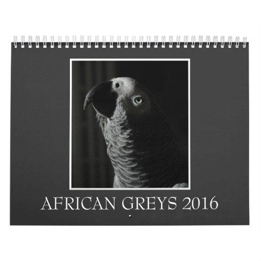 Calendrier 2016 de perroquet de gris africain du (Protection)