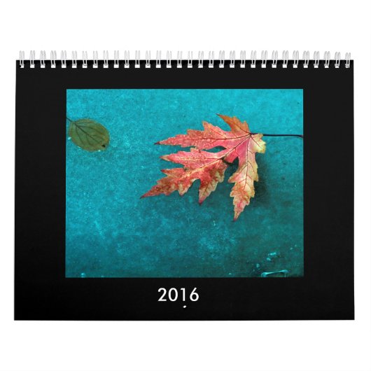 Calendrier 2016 de photo (Protection)
