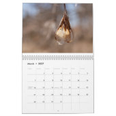 Calendrier 2016 de photo (Mar 2027)