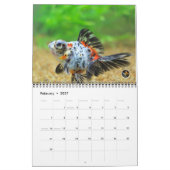 Calendrier 2016 de poisson rouge d'OR MASSIF de (Feb 2027)