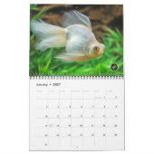 Calendrier 2016 de poisson rouge d'OR MASSIF de (Jan 2027)