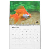 Calendrier 2016 de poisson rouge d'OR MASSIF de (Mar 2026)