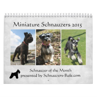 Calendrier 2016 de Schnauzer