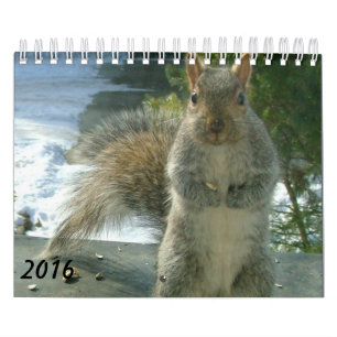 Calendrier 2016 d'écureuil