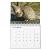 Calendrier 2016 d'écureuil (Feb 2026)