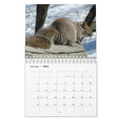 Calendrier 2016 d'écureuil (Jan 2026)